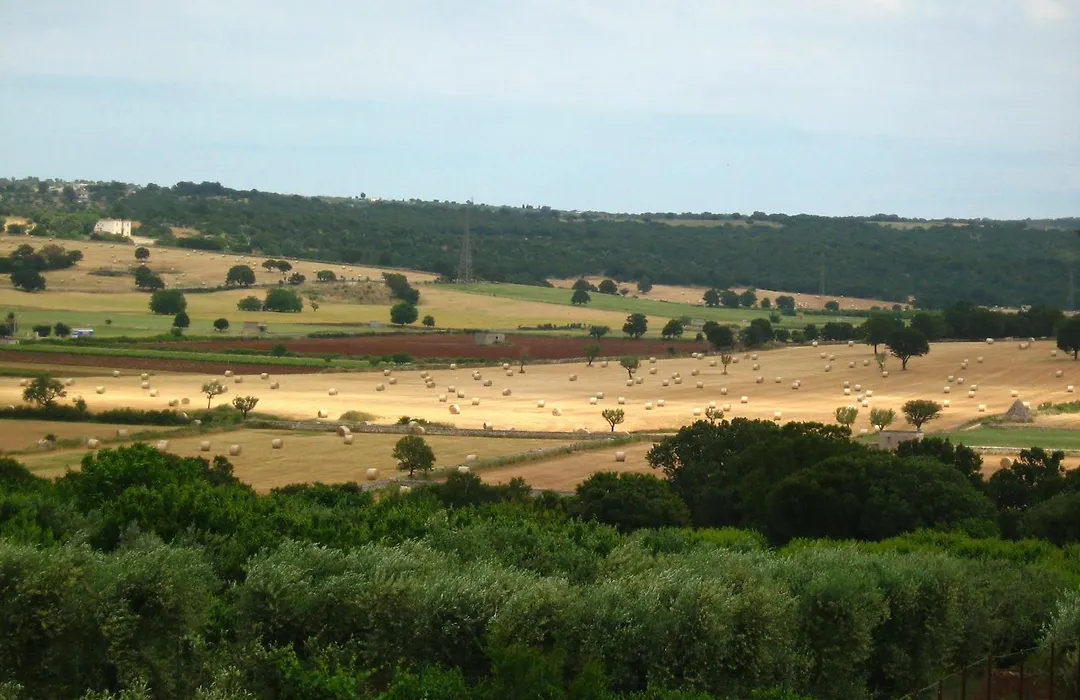 Masseria Torricella-1