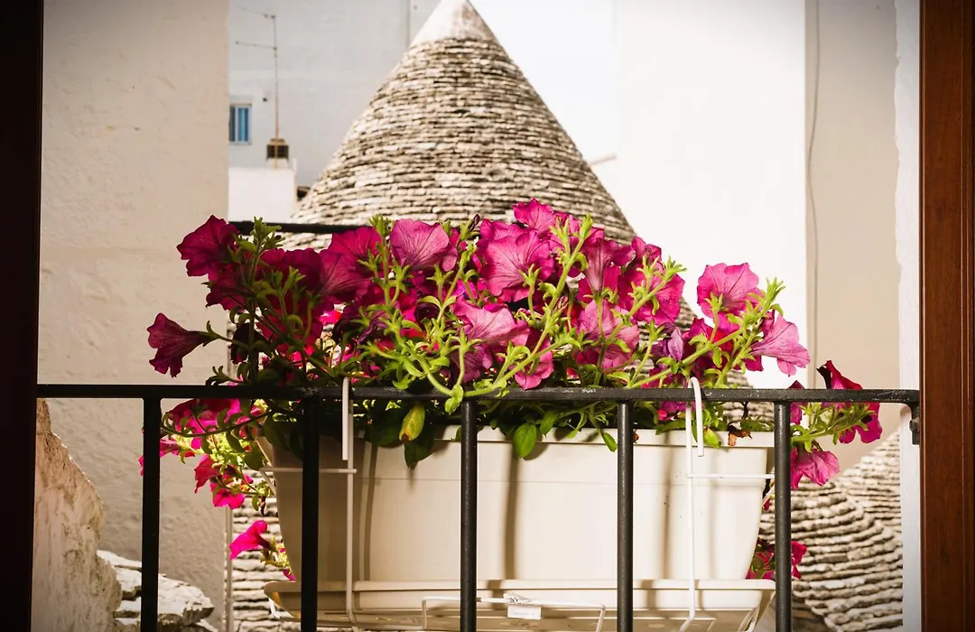 Il Trullo Moore Alberobello-1