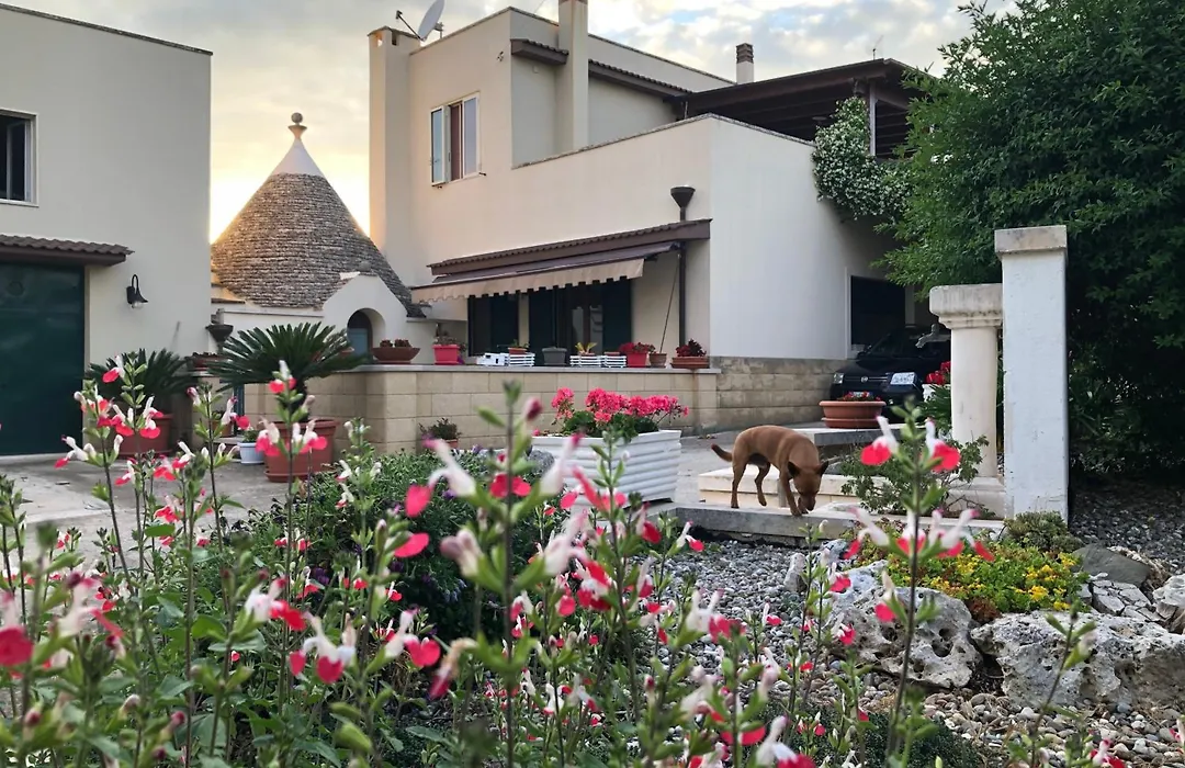 Casa delle Rondini-1