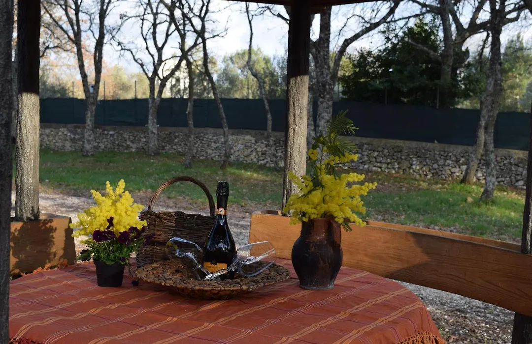 Villaggio Camping Bosco Selva-1