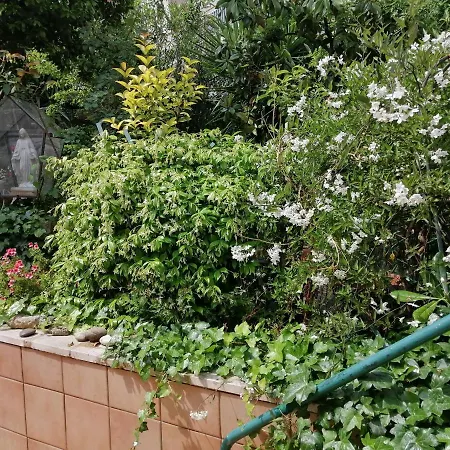 Il Giardino della Nonna-2
