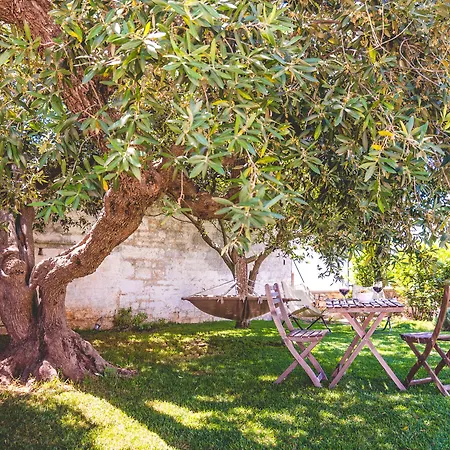 Trulli-Eu Guesthouse Alberobello-3